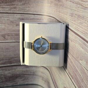 Skagen Gold and Silver Women's Mesh Watch